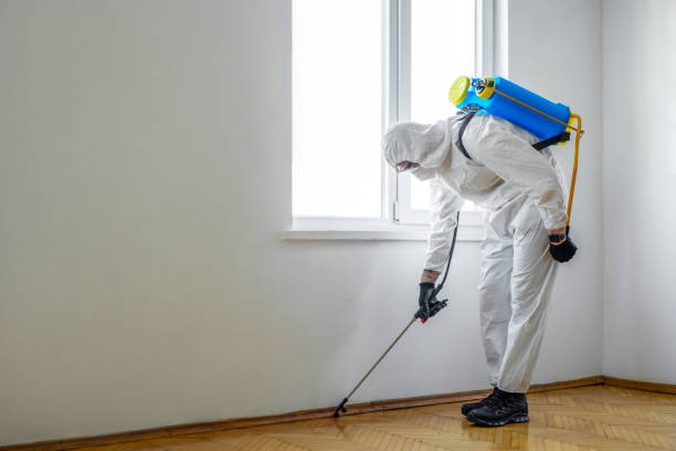 Best Pest Control for Multi-Family Homes  in Happy Valley, CA